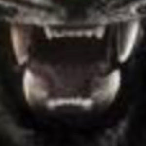 Meet your Posher, Jayden